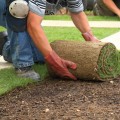 The Importance of Written Contracts for Landscaping Services in Camden County, New Jersey