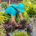 The Ultimate Guide to Landscaping Companies in Camden County, New Jersey